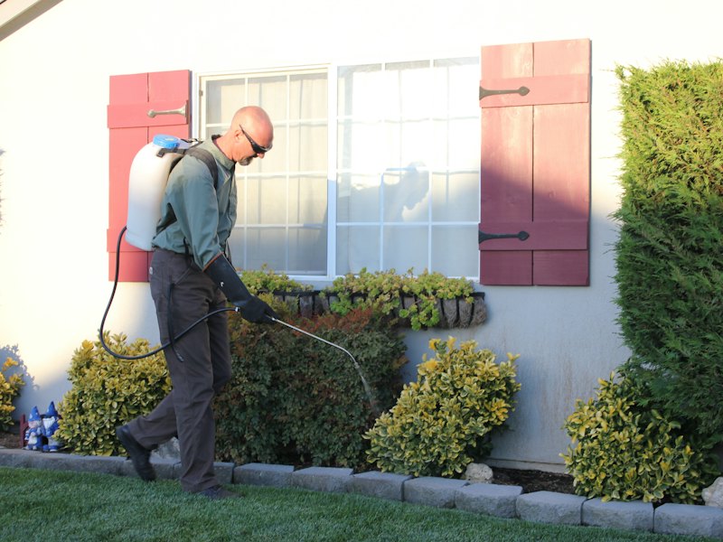 Pest control technician treating a home exterior